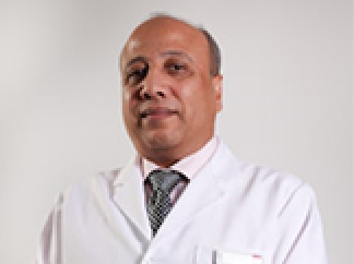 Profile picture of Dr. Ahmed Mahmoud Hady