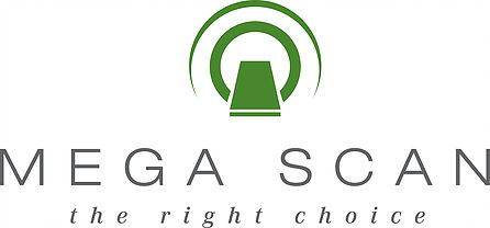 Logo of Mega Scan