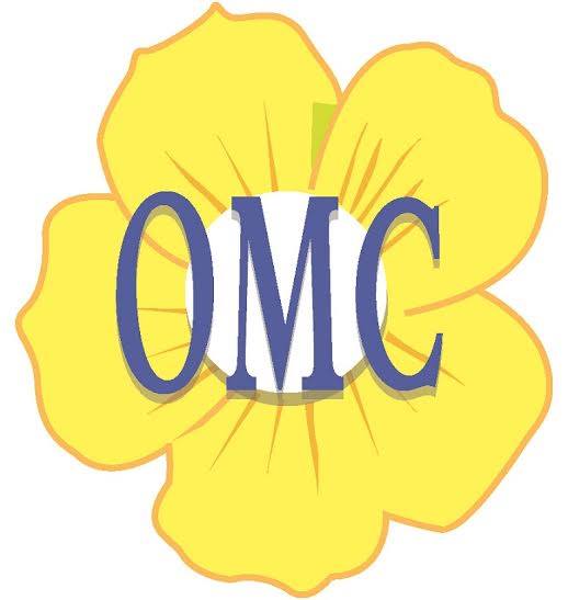 Logo of Oud Al Muteena Medical Center