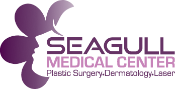 Logo of Seagull Medical Center